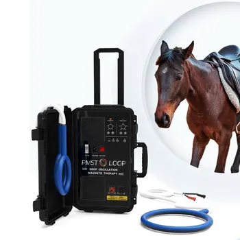 Профессиональное медицинское устройство Pemf Loop Magnetic Pmst Vet Magneto Физиотерапия для лошадей Обезболивающее лечение
